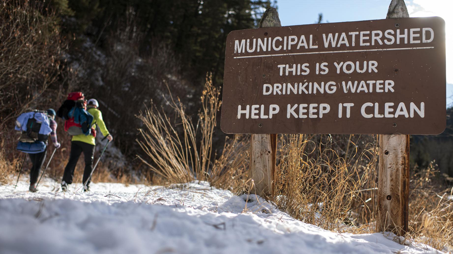 Federal judge tosses lawsuit against three southwest Montana timber projects