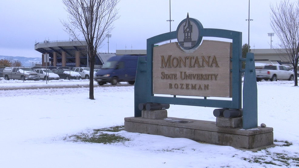 MSU receives grant for COVID-19 testing study