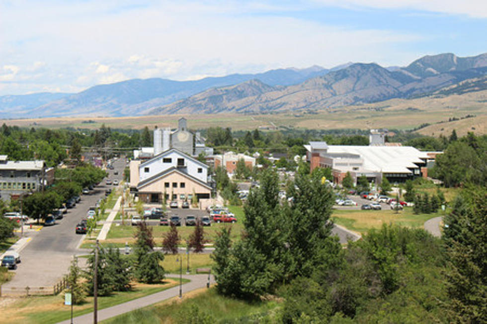 Top 10 New Businesses in Bozeman