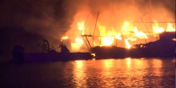 Dog Alerts Owner to Boat Fire on Fort Loudoun Lake, Saving His Life