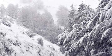 Winter Weather Forces Road Closures in the Great Smoky Mountains National Park