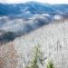 Great Smoky Mountains National Park Announces Multiple Closures Due to Winter Weather