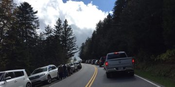 3-Year-Old Airlifted After Fall at Abrams Falls in Great Smoky Mountains National Park