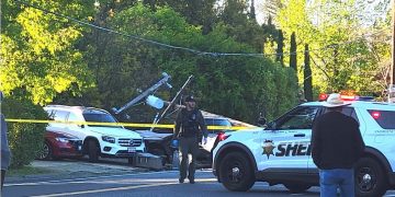 Tragic Incident Highlights Safety Concerns as Cities Invest in Pedestrian Barriers