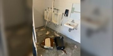 Vandalism Strikes Lakeshore Park Again, Officials Concerned