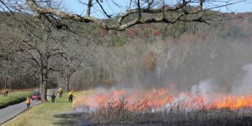 Controlled Burn Completed in Cades Cove to Restore Ecosystem Health