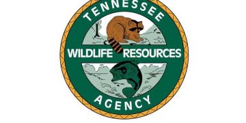 Reward Offered for Information on Elk Poaching in Caryville, Tennessee