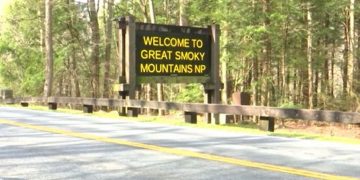 Search Efforts End in Tragedy: Missing Hiker Found Dead in Great Smoky Mountains
