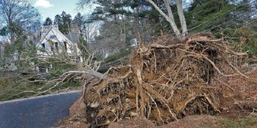 East Tennessee Struggles with Storm Aftermath, Prepares for Potential Snow