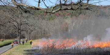 Prescribed Burn Planned for Cades Cove in Great Smoky Mountains National Park