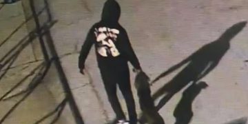 Memphis Man Arrested for Aggravated Animal Cruelty After Throwing Dog from Bridge