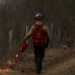 Prescribed Burn in Hamblen County Aims to Restore Native Ecosystem
