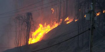 Fire Forces Evacuations as Over 400 Acres Burn in Monroe County, Tennessee