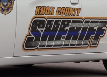 Man Arrested After Leading Authorities on High-Speed Chase in Stolen Mustang