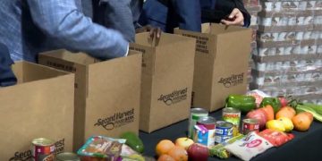 University of Tennessee Students Raise Funds for Second Harvest Food Bank’s Food for Kids Program