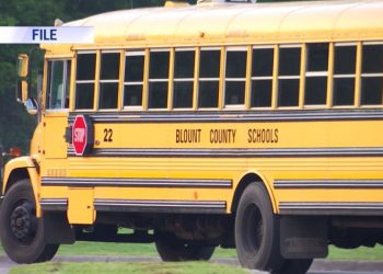 Protest Erupts in Maryville Over Lenient Sentence for Former Teacher