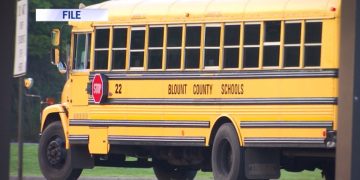 Protest Erupts in Maryville Over Lenient Sentence for Former Teacher