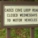 Cades Cove Announces Vehicle-Free Days for Summer 2025